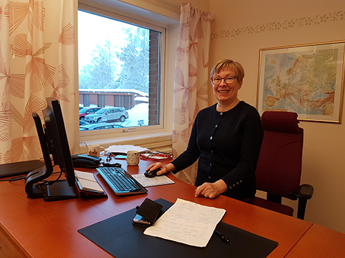 Elever från Irland praktiserar i Övertorneå