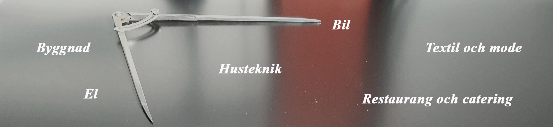 Arbetskraftsutbildning i Finland