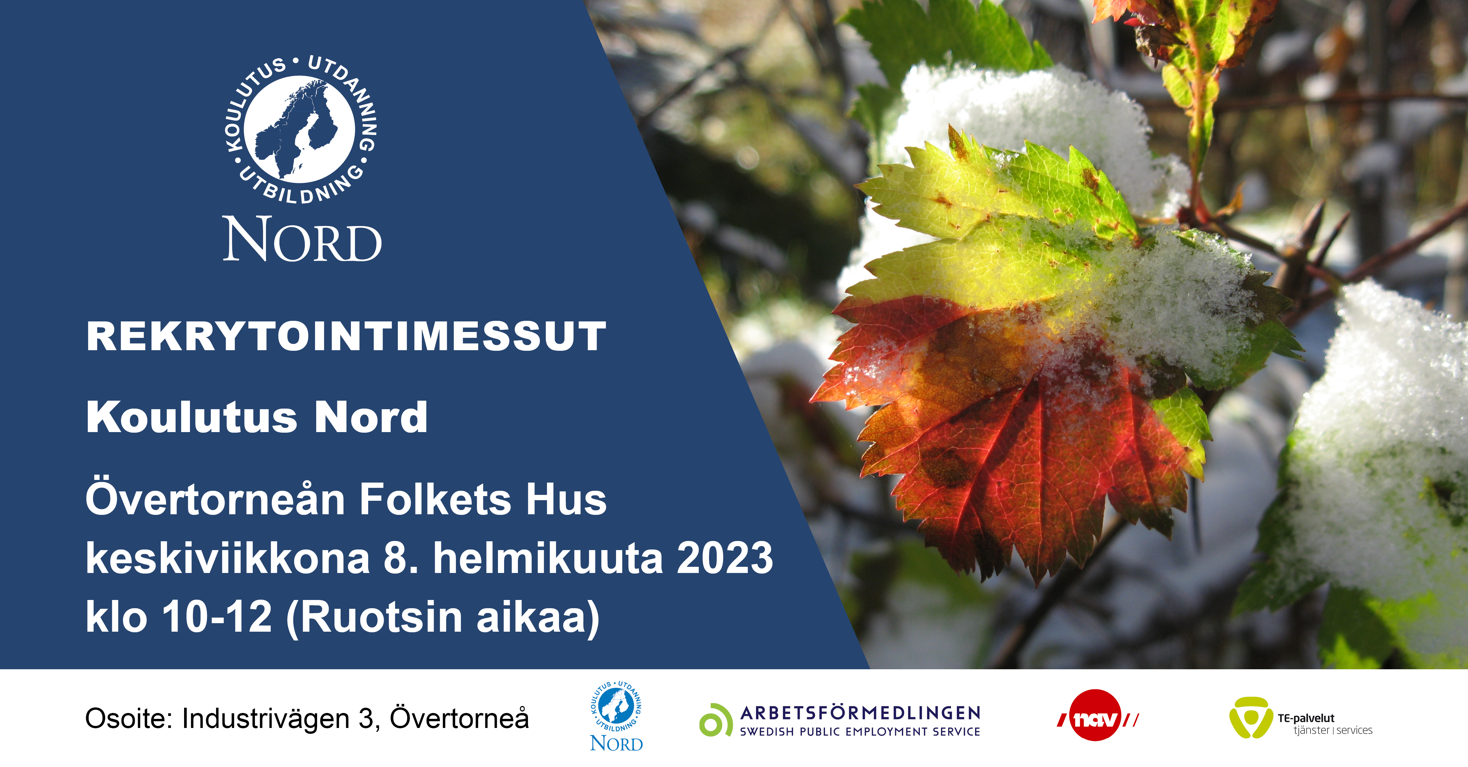 Koulutus Nordin rekrytointimessut